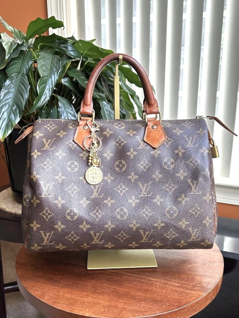 LOUIS VUITTON Monogram Speedy 30